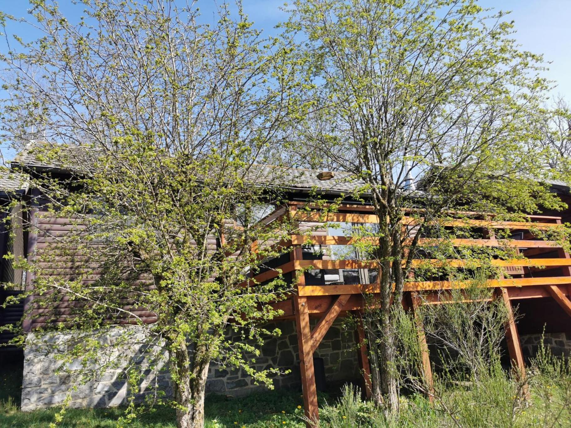 Heureux Chalet
